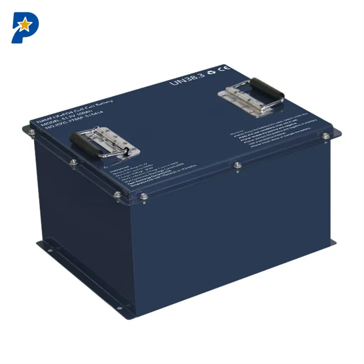 Lithium Battery Sightseeing Cart